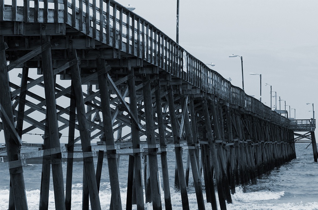 Mold Remediation Creosote Odor Removal Mold Removal