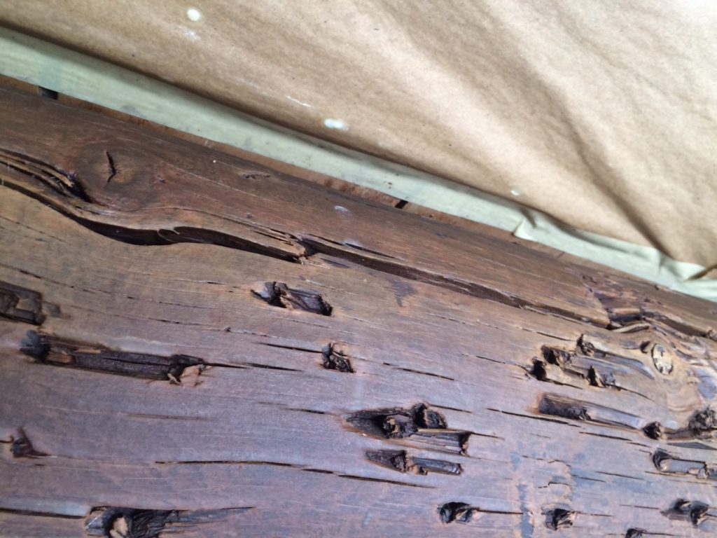 Creosote Lumber Charleston SC, Health EnviroShield