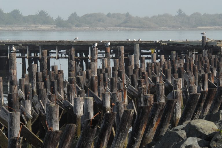 Creosote Lumber Wilmington, Health Risks EnviroShield